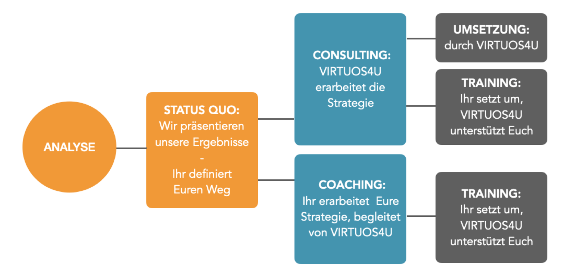 Analyse - Umsetzung Virtuos4u_DE