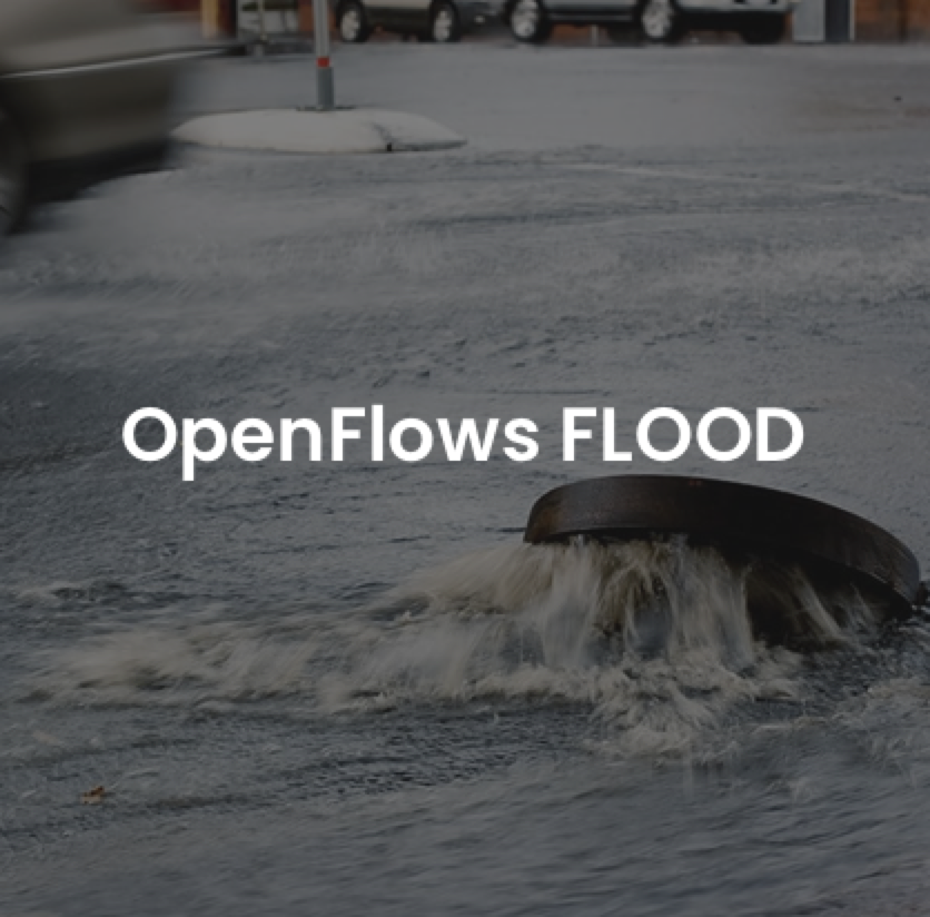 OpenFlows Flood - VIRTUOS4U GmbH